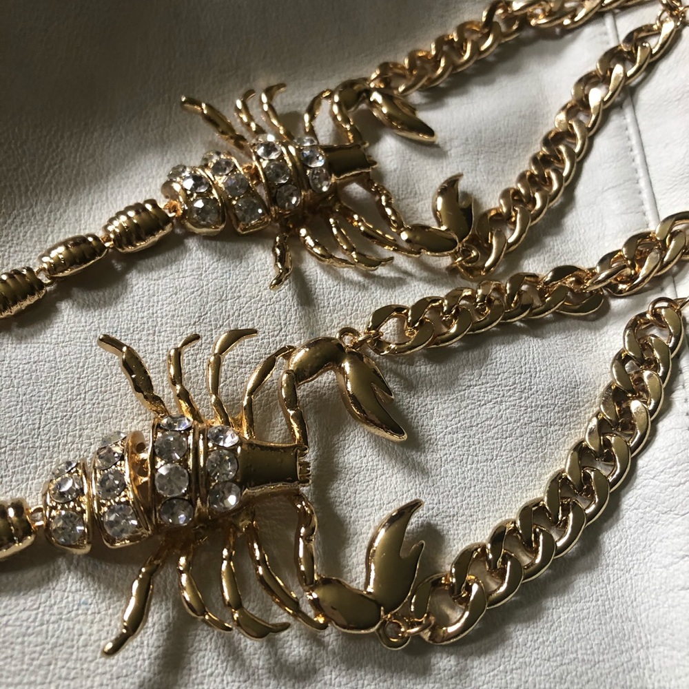 ᴀᴜsᴛʀɪᴀɴ ᴄʀʏsᴛᴀʟ BAREFOOT SCORPION sᴀɴᴅᴀʟs